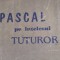 Pascal pe intelesul tuturor F.Anghel,O.Stinga 1992