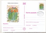 Bnk cp Cactusi - necirculata - marca fixa - stampila prima zi - 019/97