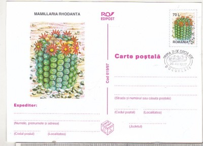 bnk cp Cactusi - necirculata - marca fixa - stampila prima zi - 019/97 foto
