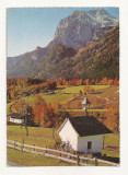 AT3 -Carte Postala-AUSTRIA- Ramsau mit Reiteralpe, necirculata, Fotografie
