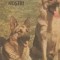 Ciinii nostri - Buletin documentar august 1985
