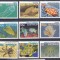 DB1 Australia 1985 - 86 Fauna Marina Pesti 13 v. MNH incomplete