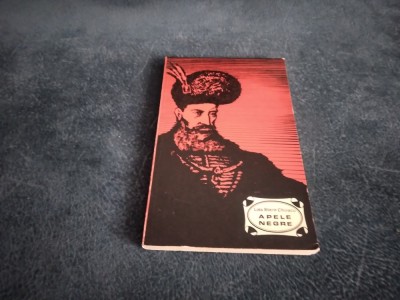 LOLA STERE CHIRACU - APELE NEGRE foto