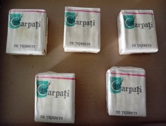 Tigari Carpati de Sf. Gheorghe foto