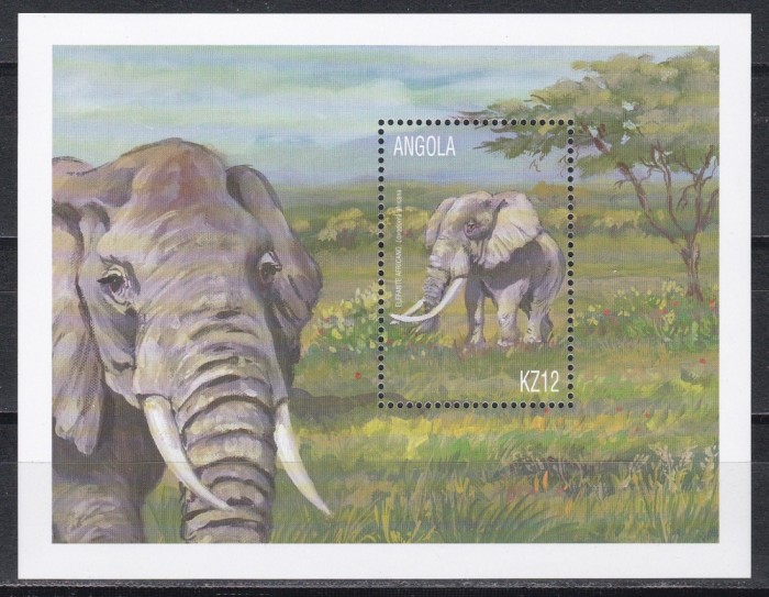 Angola 2000 - Animale și păsări, Colita, MNH