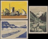 1960 Romania - Set 3 etichete de chibrituri romanesti Patria noastra