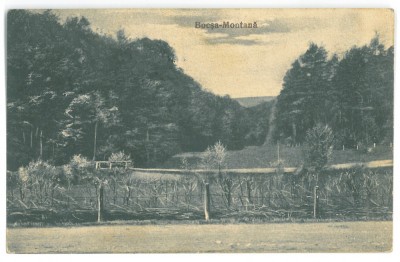 3375 - BOCSA MONTANA, caras Severin, Park, Romania - old postcard - used - 1927 foto