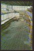 CPIB 21940 - CARTE POSTALA - CONSTANTA. EDIFICIU ROMAN CU MOZAIC, NECIRCULATA, Fotografie