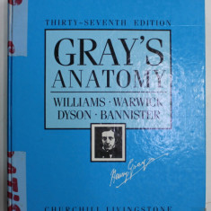 GRAY'S ANATOMY by WILLIAMS ...BANNISTER , 1989