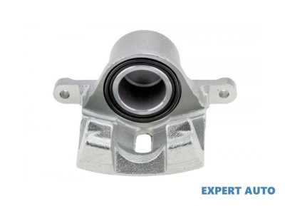 Etrier fata Toyota Yaris Verso (1999-2005)[_P2_] #1 foto
