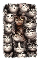 Sticker decorativ, Pisici, Gri, 85 cm, 9757ST foto