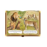 Prima mea enciclopedie cu sunete |