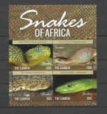 GAMBIA 2015 FAUNA SERPI