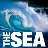 The Sea | Valeria Manferto De Fabianis