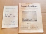 E445D-Lot 7 REVISTE vechi BRAZDE BANATENE-EDITIE COMPLETA PE ANUL 1939+ 1 1938. Director CAIUS PASCU. TIMISOARA TIPOGRAFIA EMINESCU. PRET PE LOT.
