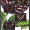 Guyana - FLUTURI - BL - MNH