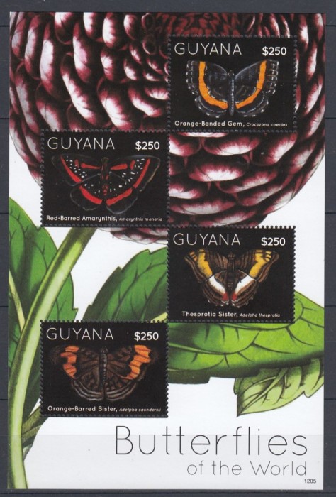 Guyana - FLUTURI - BL - MNH