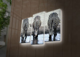 Tablou Canvas cu Led Zebra, Multicolor, 66 x 45 cm