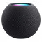 Boxa Inteligenta Apple HomePod Mini Space Grey