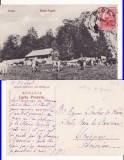 Casa Regala-Stana Regala -Sinaia, Bucegi-TCV