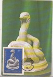 bnk fil Constanta - Muzeul de arheologie - Sarpele Glycon - maxima