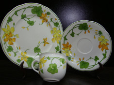 SET / SERVICIU MIC DEJUN DIN PORTELAN VILLEROY &amp;amp; BOCH GERANIUM CANA SI FARFURII foto