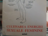 CULTIVAREA ENERGIEI SEXUALE FEMININE - MANTAK CHIA SI MANEEWAN CHIA 1994 295P