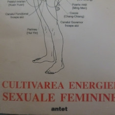 CULTIVAREA ENERGIEI SEXUALE FEMININE - MANTAK CHIA SI MANEEWAN CHIA 1994 295P