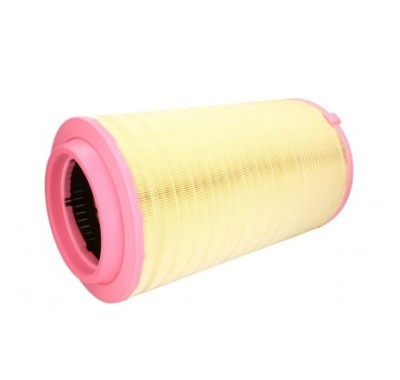 Filtru aer Mann-Filter C27038 foto