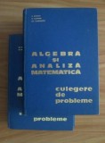 Algebra si analiza matematica. Culegere de probleme (2 volume; lagatura de lux) - D. Flondor, Nicolae Donciu