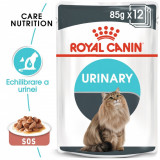 Cumpara ieftin Royal Canin Urinary Care Adult hrana umeda pisica, sanatatea tractului urinar (in sos), 12x85 g