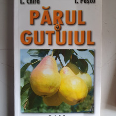 PARUL SI GUTUIUL - L. CHIRA , I. PASCA
