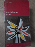 MORFOLOGIA ARTEI-M.S. KAGAN