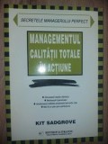 Managementul calitatii totale in actiune- Kit Sadgrove