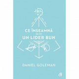 Ce inseamna sa fii un lider bun. De ce este importanta inteligenta emotionala - Daniel Goleman, Curtea Veche