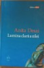 LUMINA CLARA A ZILEI - ANITA DESAI - COPERTA CARTONATA