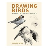 Drawing Birds A Complete Step-By-Step Guide