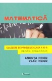 Matematica. Profil pedagogic - Clasa 11 - Culegere de probleme - Ancuta Heisu, Vlad Heisu