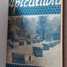 REVISTA APICULTURA IN ROMANIA ANUL 1956 , LOT 12 REVISTE AN COMPLET