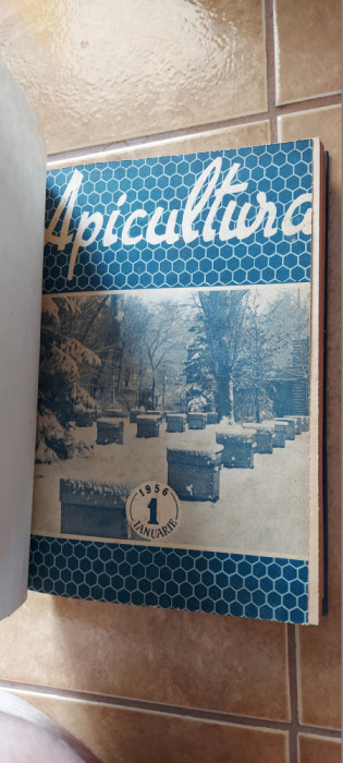 REVISTA APICULTURA IN ROMANIA ANUL 1956 , LOT 12 REVISTE AN COMPLET