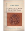 Damian Todita - Patrascu cel tinar, fiul lui Mihai Viteazul - 120502