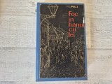 Foc in hanul cu tei de I.Peltz