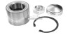 Set rulment roata PEUGEOT BOXER platou / sasiu (244) (2001 - 2016) RINGER 1141006074