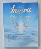 INGERII , AJUTORUL NECUNOSCUT , TRANSFORMA - TI VIATA CU AJUTORUL INGERILOR de AMALIA VOINEA , 2021