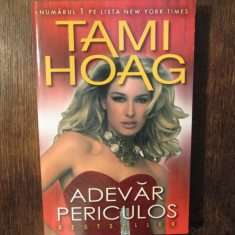 Adevăr periculos - Tami Hoag