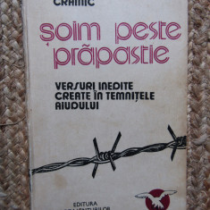 SOIM PESTE PRAPASTIE - NICHIFOR CRAINIC