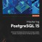 Mastering PostgreSQL 15 - Fifth Edition: Advanced techniques to build and manage scalable, reliable, and fault-tolerant database applications