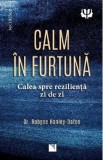 Calm in furtuna. Calea spre rezilienta zi de zi - Robyne Hanley-Dafoe