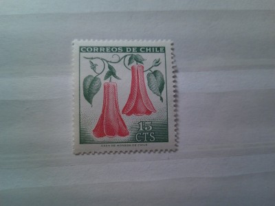 Timbru Chile 1965 - Floare simbol national - Copihue foto