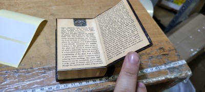 Bricheta ascunsa foto